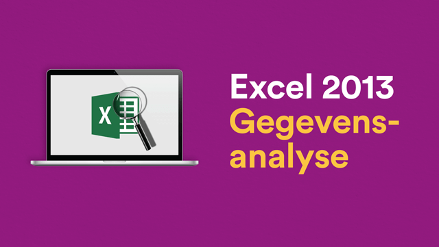 Excel 2013 – Gegevensanalyse