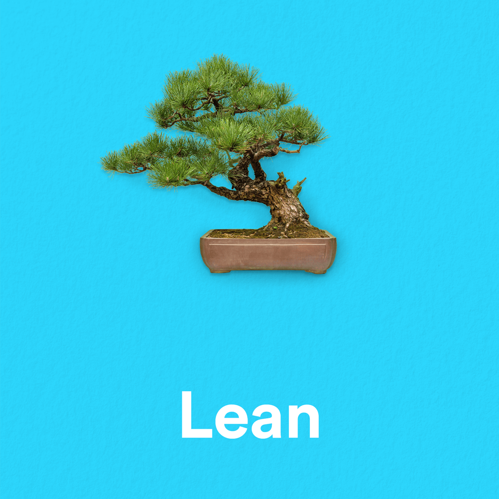 Afbeelding voor Lean
